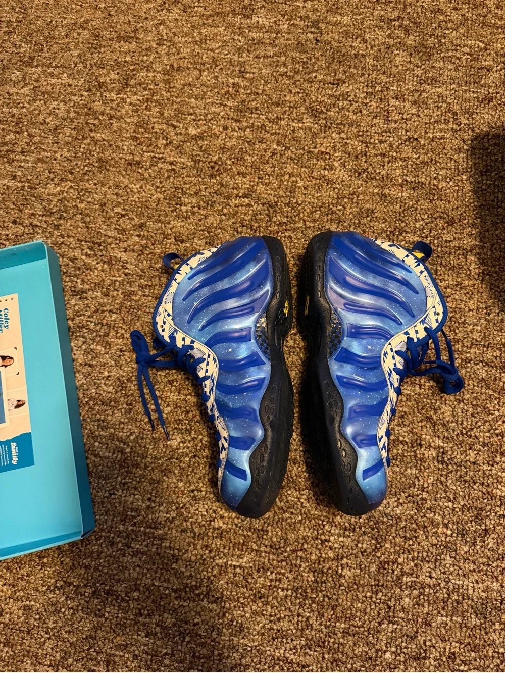 Nike Foamposite One Doernbecher